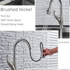 Single Handle Pull Out Stream Spray Kitchen Spout, Brushed Nickel