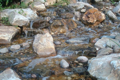 Design ideas for a landscaping in Jacksonville.