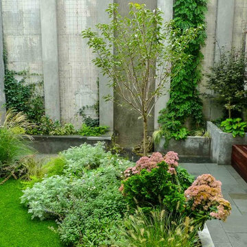 Modern Brooklyn Garden
