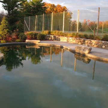 Natural Pool with separate regeneration area