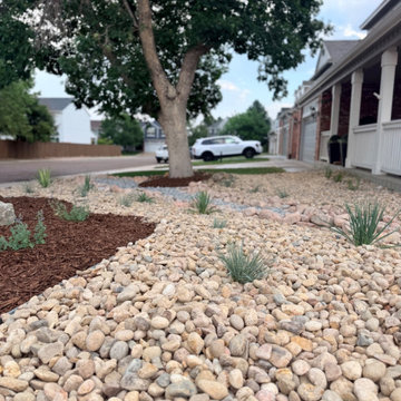 Xeriscape Transformation - Highlands Ranch, CO