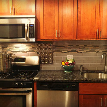 Condo Kitchen Alexandria, VA