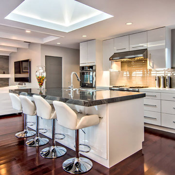 White High-Gloss Contemporary Kitchen