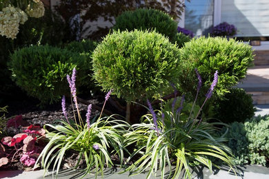 Photo of an asian landscaping in Charlotte.