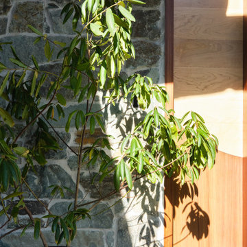 Organic Connections - Whole House Remodel-Addition