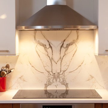 Contemporary Renovation
