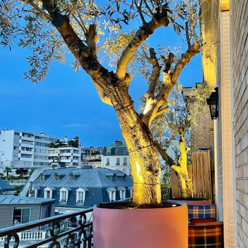 Aménagement d'un balcon Haussmanien à Paris 16
