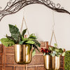 Large, Round Metallic Gold Metal Hanging Indoor & Outdoor Planters, Set of 2