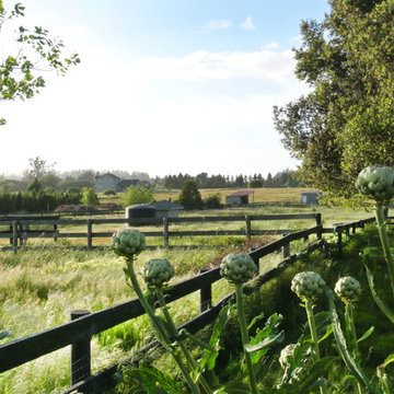 Farm Garden