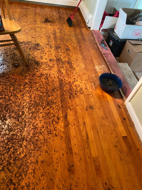 removed-carpet-and-padding-stuck