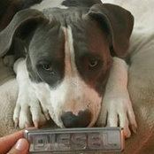 Foto von Stephanie Hendrickson