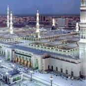 Hekmat El Kady's photo