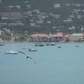 Susan Blair's photo