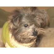 Gloria Garrett's photo