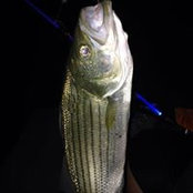 Rick Summerville's photo