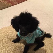 Sue Glenn's photo