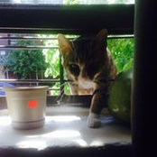 Tamara Devra's photo