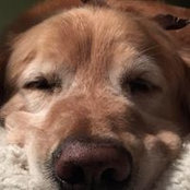 Catherine Miske's photo