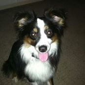 Shelley Upton's photo
