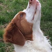 Amy Thompson's photo