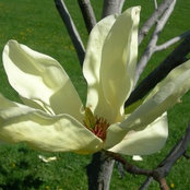 wandeco's photo