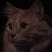 Frank Sr.'s photo