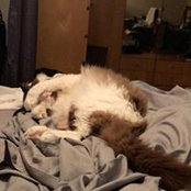 Tommy Tse's photo