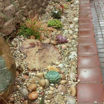 La Mesa Succulent Focal Point