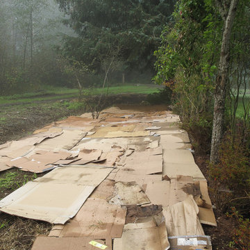 Stream bank