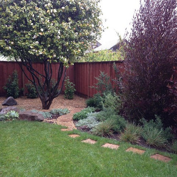 Designed for Rock and Rose Landscapes