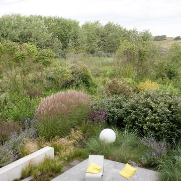 Dune garden in The Netherlands