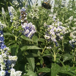 Nursery and Garden Center - Gardening And Lawn Care