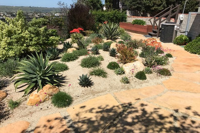 Inspiration for a southwestern landscaping in San Diego.