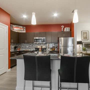 San Antonio, TX Contemporary Apartment Home