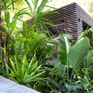 Tropical Garden