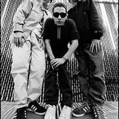 Stephen Burtonさんの写真