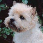 Barbara Allen's photo