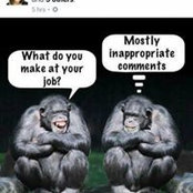 Bronwyn Walsh's photo