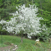 Brian Carlson's photo
