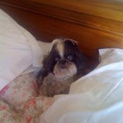 Gill Morrison's photo