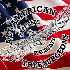 All American Tree Surgeons