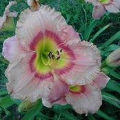 Rita Bashaw's photo