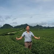 Đinh Tân's photo