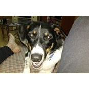 Tyler Douglas's photo