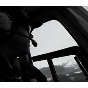 Matt Spelgatti's photo