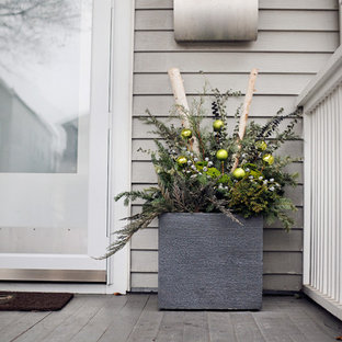 Kleiner, Schattiger Eklektischer Vorgarten im Winter mit Kübelpflanzen in Chicago