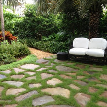Backyard Garden