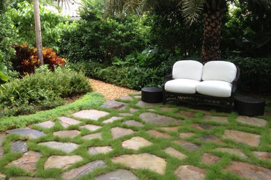 Design ideas for a contemporary garden in Miami.