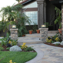 Patio and Yard
