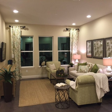 Modern Style Home Designs